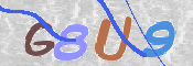 Image Anti-spam